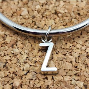 5/$21 🦉 SILVER LETTER Z INTIAL ALPHABET CHARM FOR PANDORA